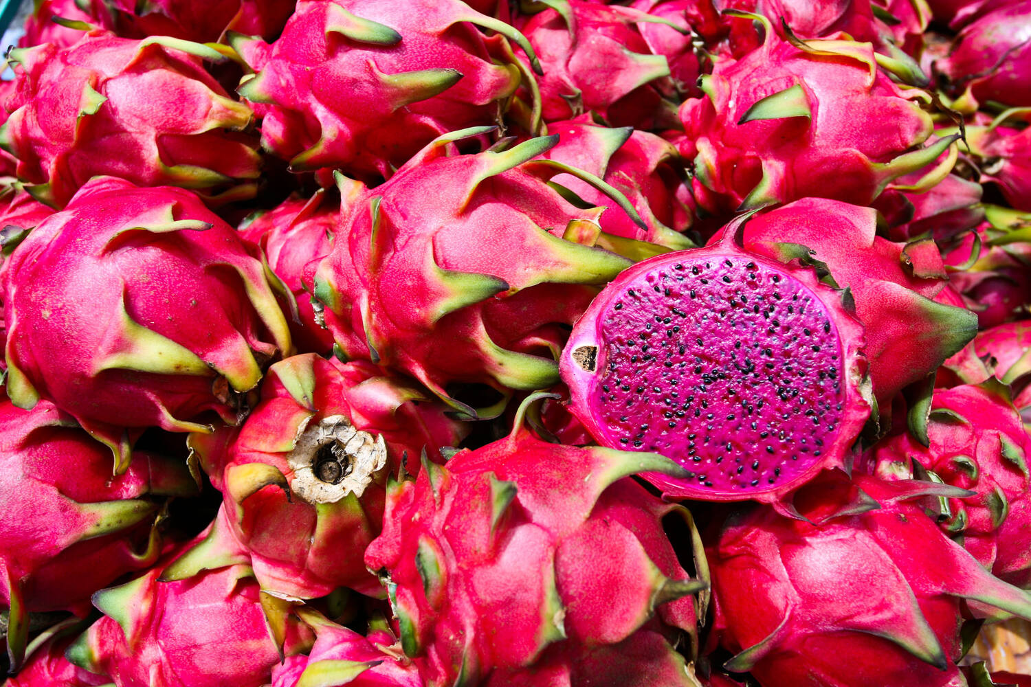 Pitahaya - dragon fruit rood vlezig stuk 2